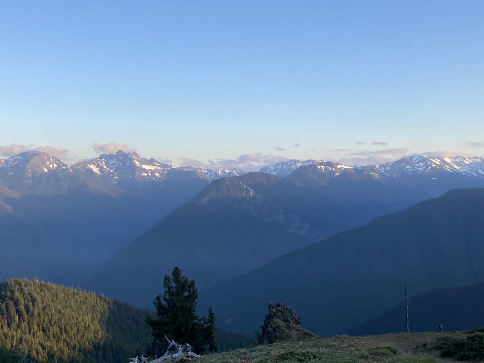 Mountains in the Olympic Range with the last of the sun on them and a few clouds and a bit of snow remaining. In the foreground is a forested valley and hillside and the view is from the deer park campground