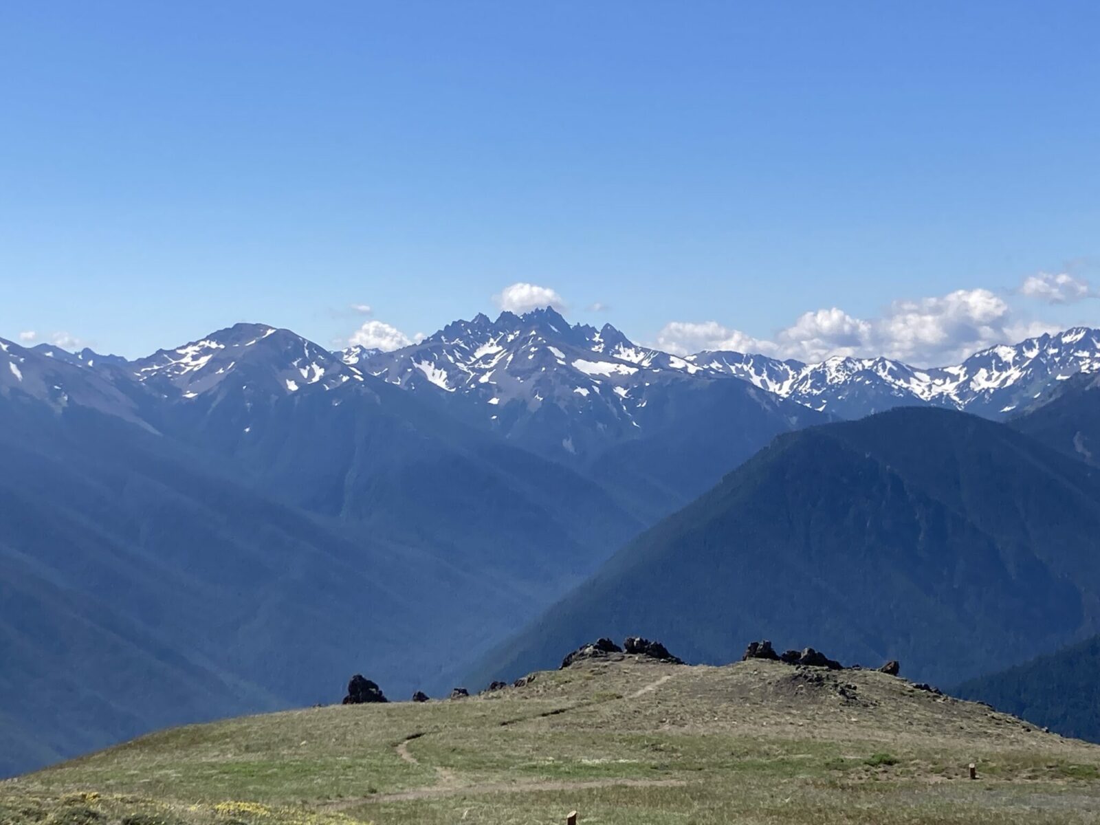 Mountains with lingering snow seen across an alpine meadow