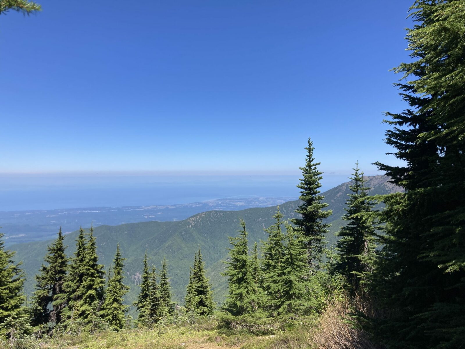 A distant body of water and green lowlands with evergreen trees in the foreground