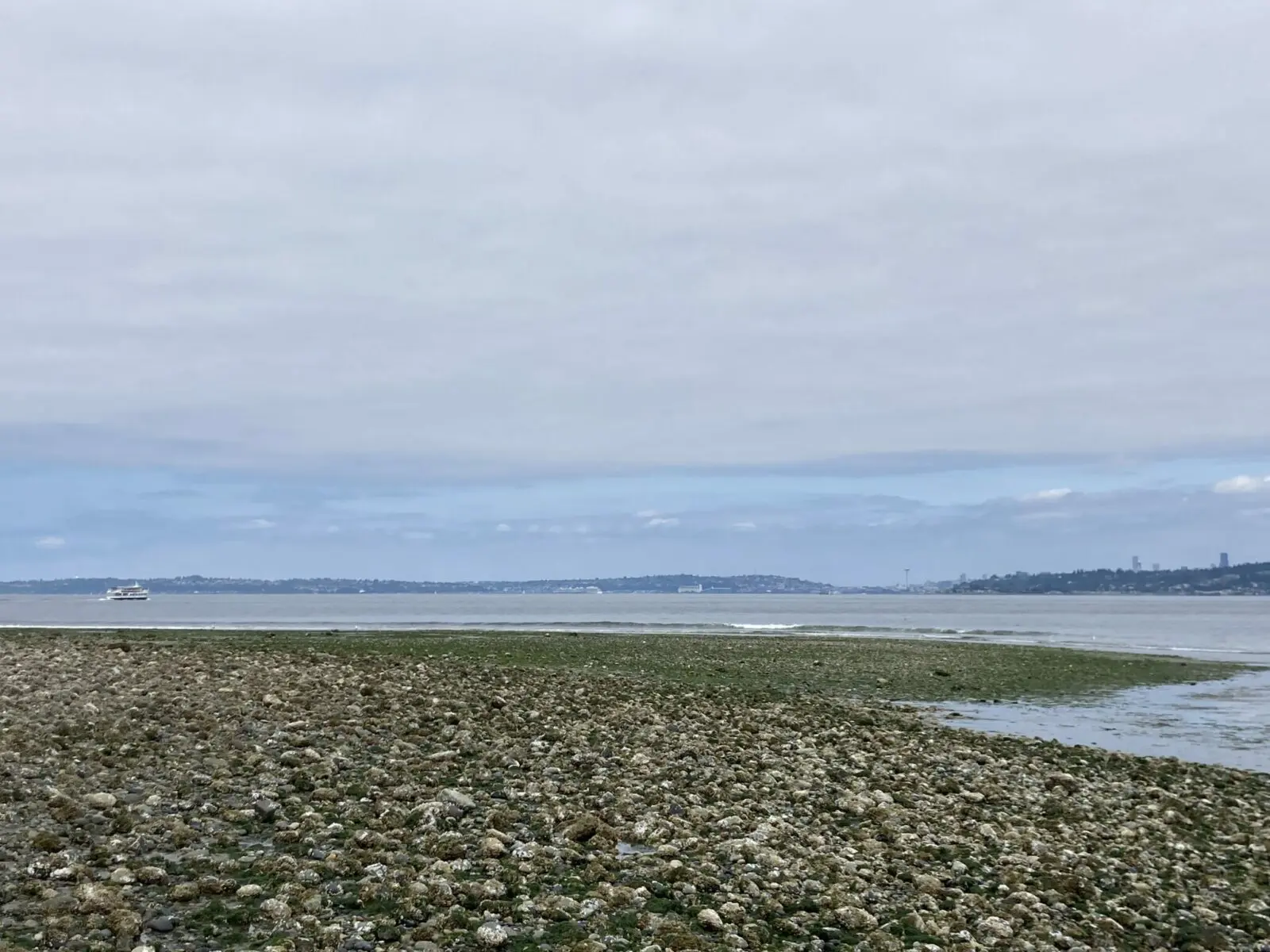 Rocky beach at low tide in Blake Island State park. A boat is sailing away from the island towards downtown Seattle in the distance.