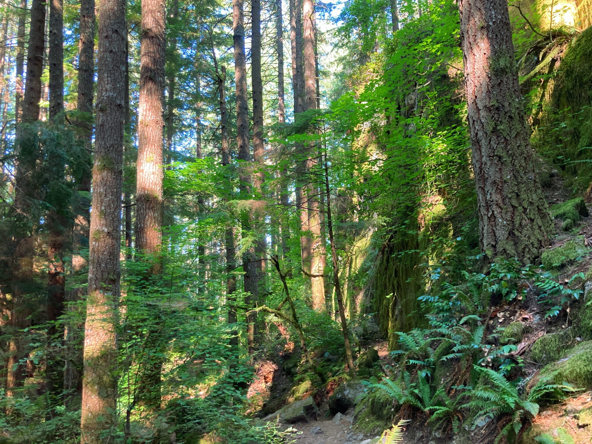 Hiking the Boulder Garden Loop on Mt Si Ordinary Adventures