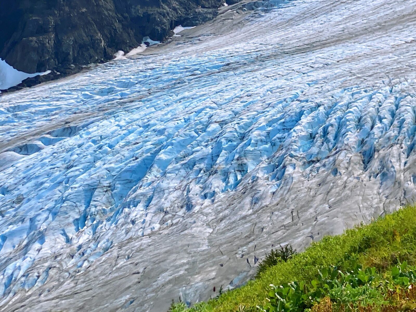 An up close view of exit glacier in kenai fjords national park. There are deep blue crevaces and black streaks across the top of the glacier. There are green grasses in the foreground and rocks in the background