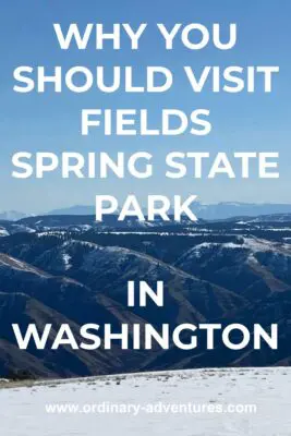 In the foreground is a snowy meadow and there are several layers of snowy mountains in the distance. There are higher snow covered rocky mountains in the far distance. The sky is perfectly blue. Text reads: why you should visit fields spring state park in washington.