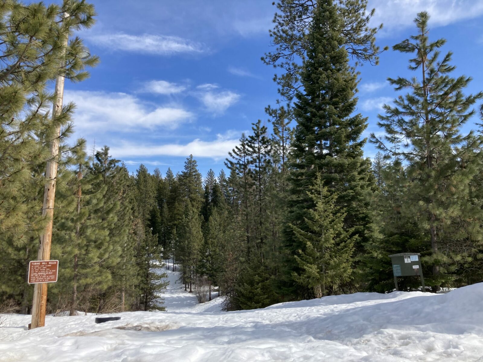 A steep and snow covered road going through the forest on a sunny day.