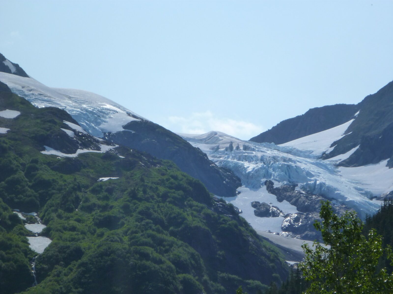 The ice of two blue glaciers has a layer of white snow on top. The glaciers are in a high valley between mountains. In the foreground are green meadows and forest