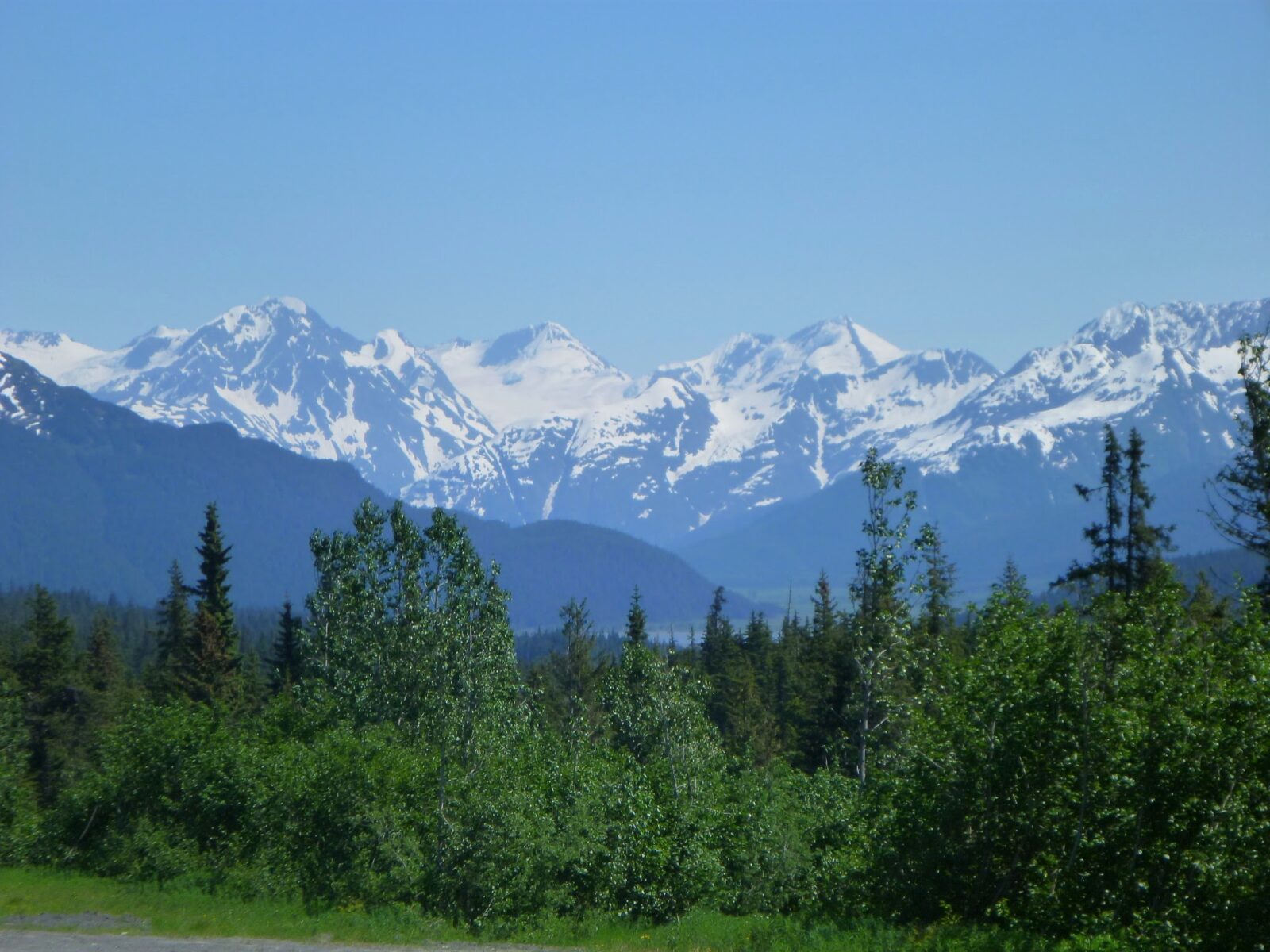 Forest in the foreground, hills and water in the background and high snow capped mountains in the distance at Turnagain Pass between Anchorage and Seward Alaska on a sunny day