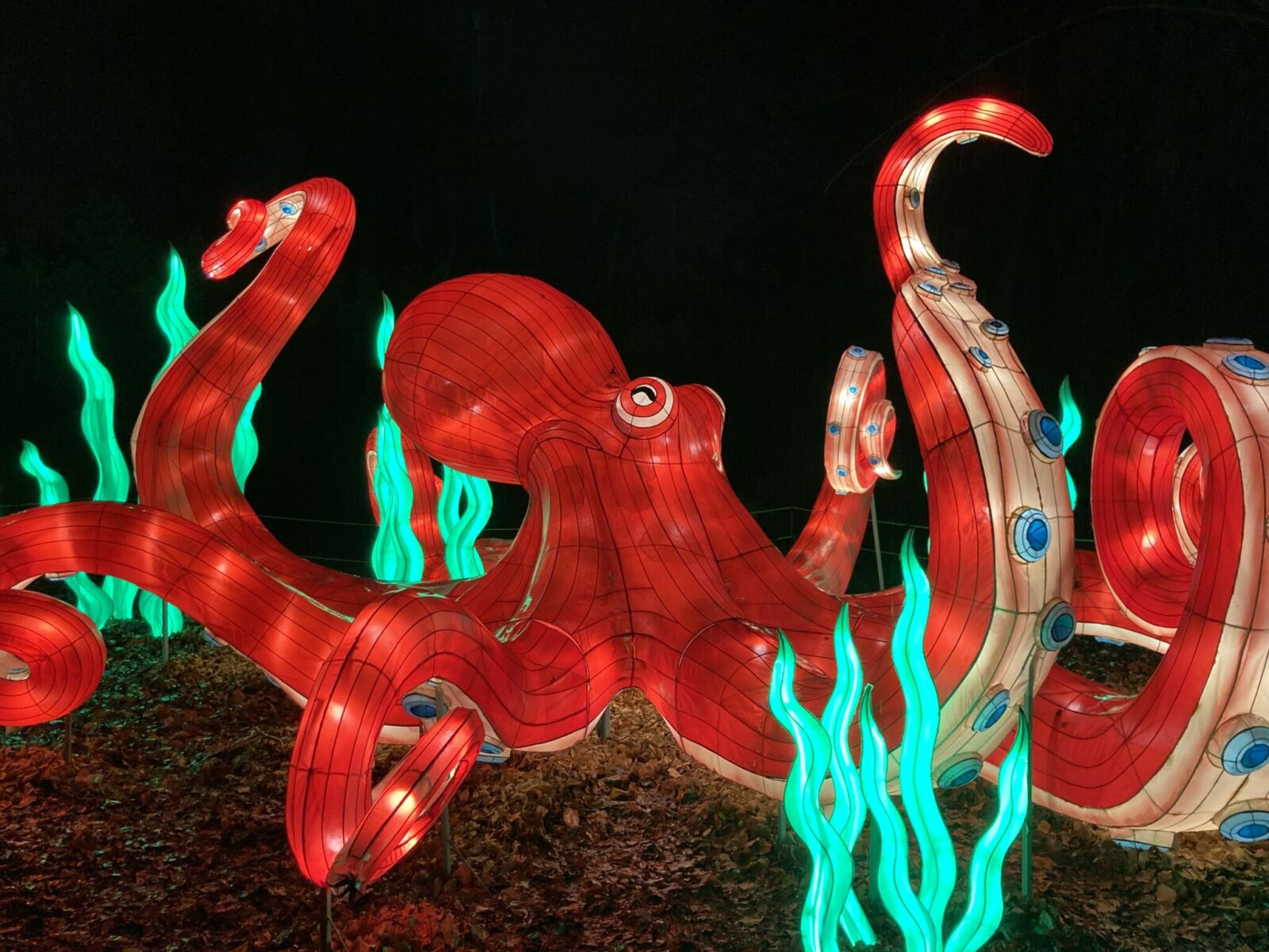 A lighted red octopus lantern