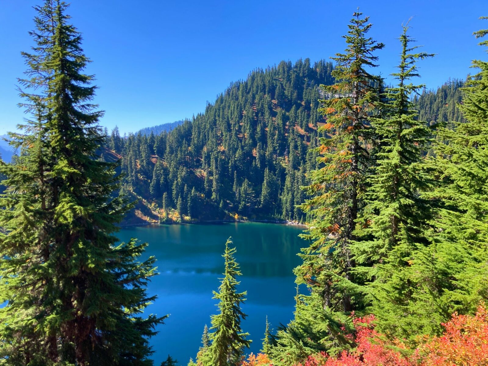 Lake Valhalla is blue and green seen below the trail above. It is surrounded by evergreen trees and red berry bushes on a sunny fall day