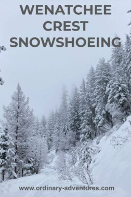 A closed forest service road covered in snow with snowshoe tracks. There is forest with snow covered trees next to the trail. Text reads: Wenatchee crest snowshoeing