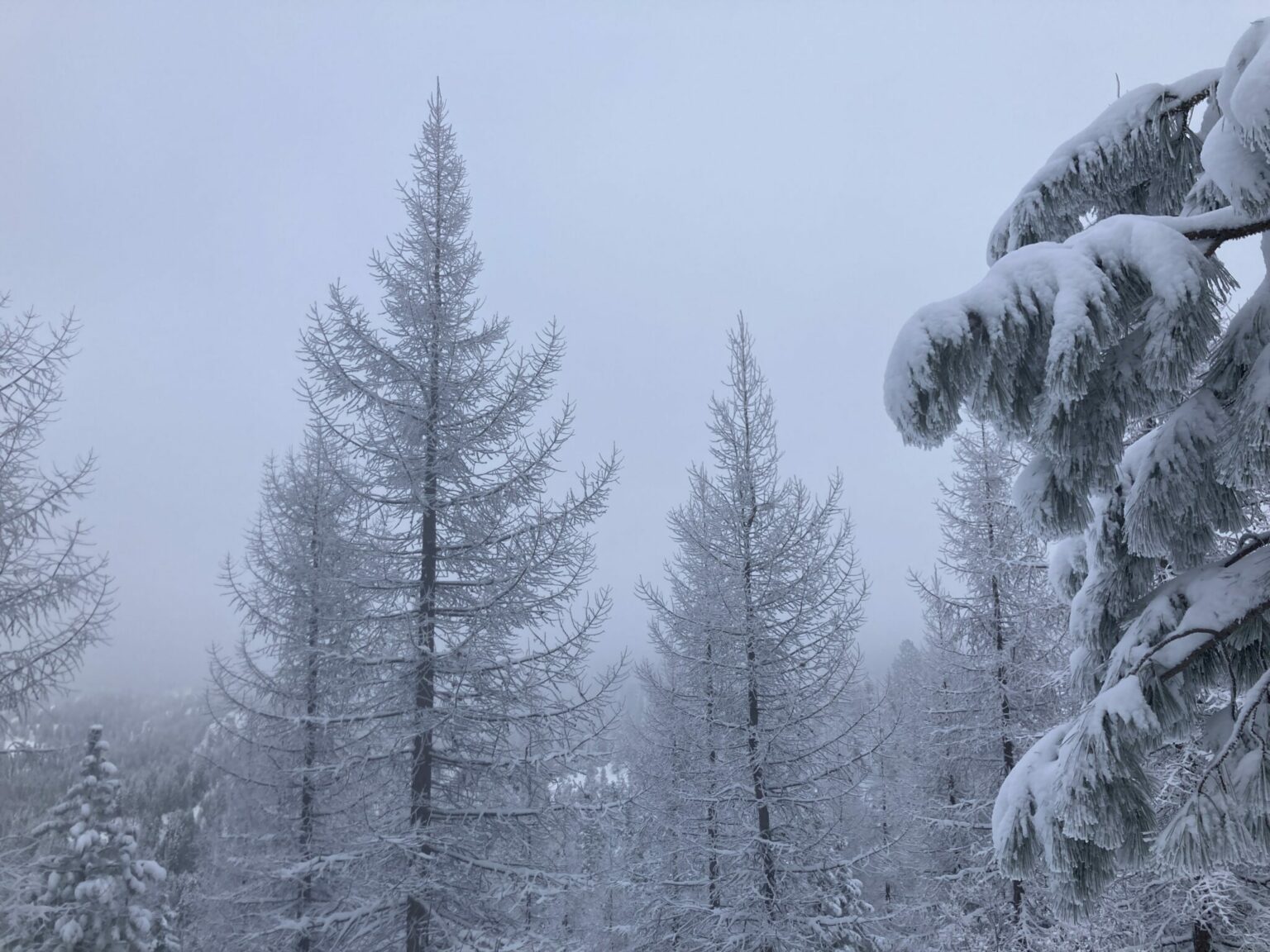 Snowshoeing near Seattle Best Beginner Routes Ordinary Adventures