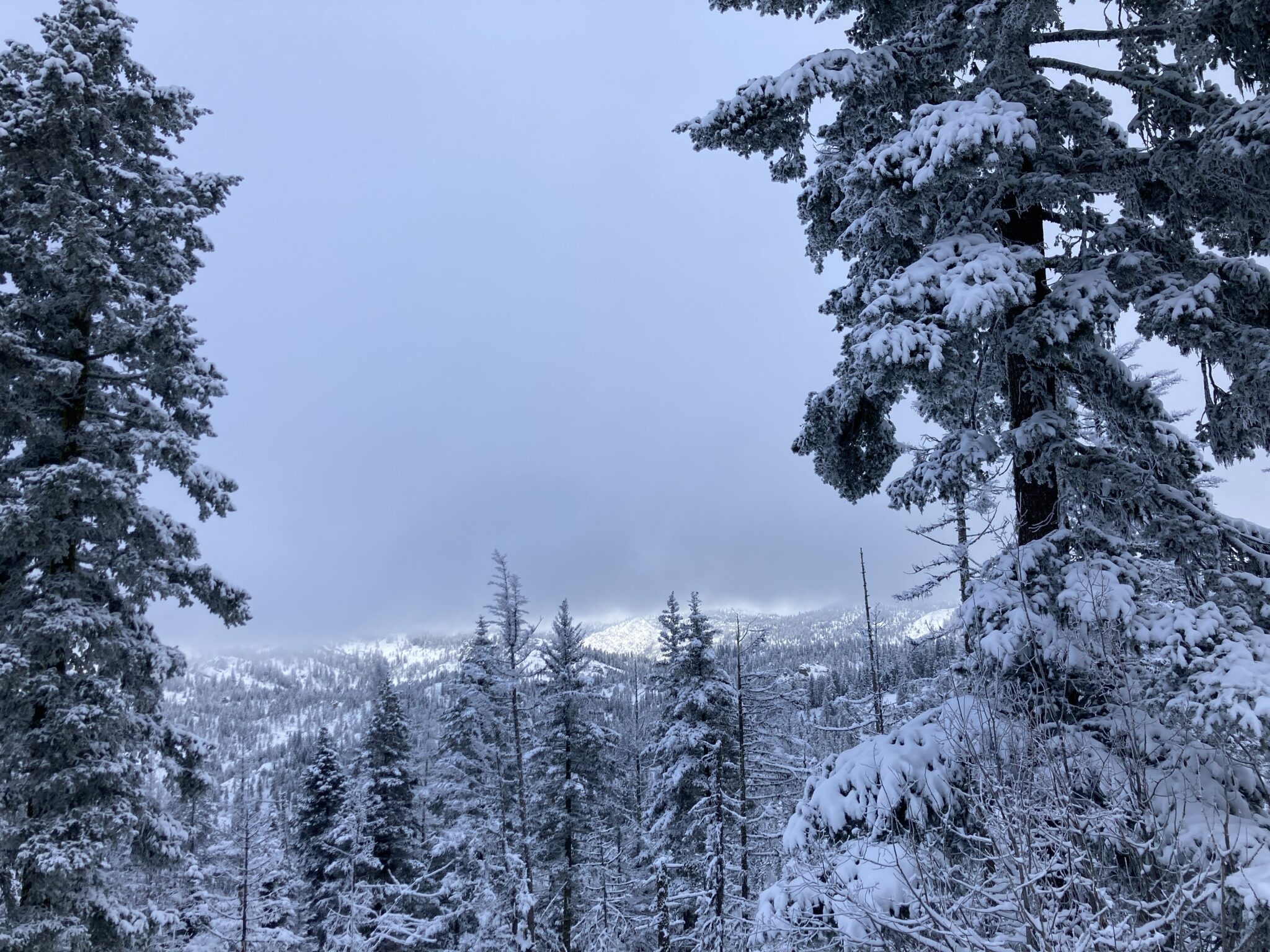 Wenatchee Crest Snowshoe and Blewett Pass Ordinary Adventures