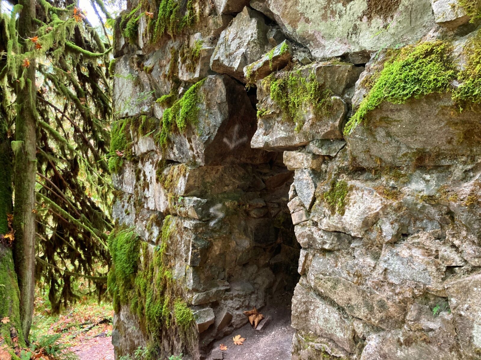 The lime kiln next to the lime kiln trail. It's a stone structure with moss and ferns on it and an open hole where the fire was built. it is in a forest and has fall leaves on the forest floor