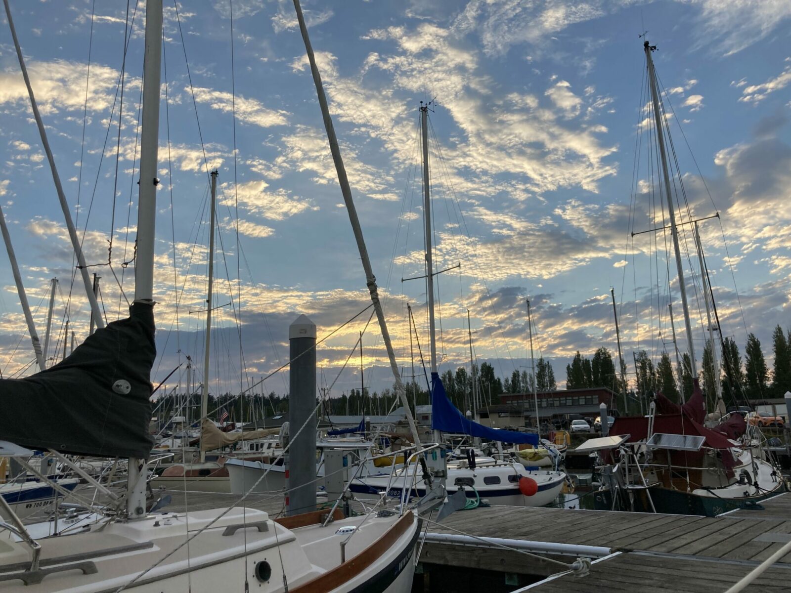 A marina at sunset with lots of sailboats and trees and buildings in the background