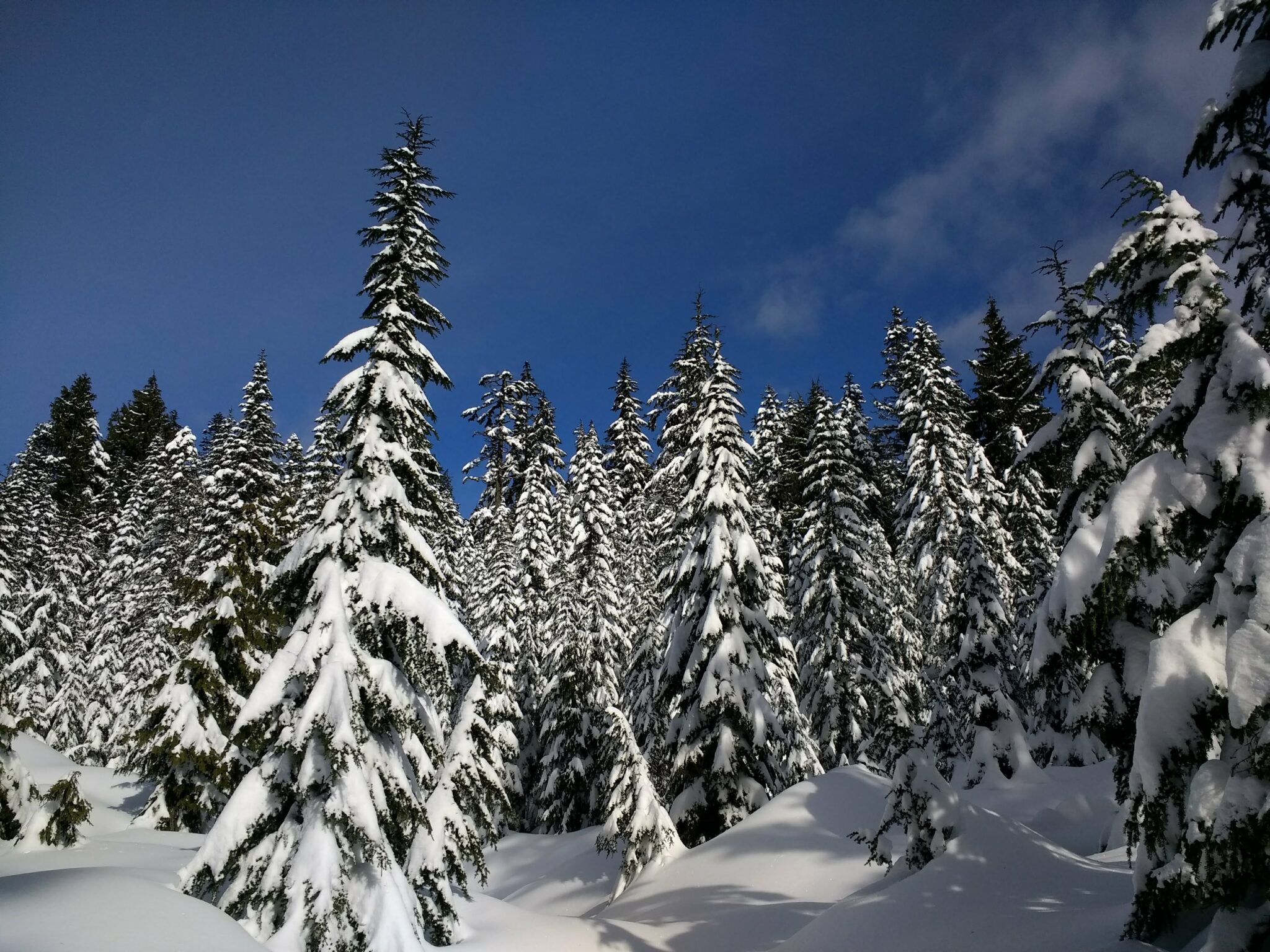 Best Cross Country Skiing near Vancouver BC Ordinary Adventures