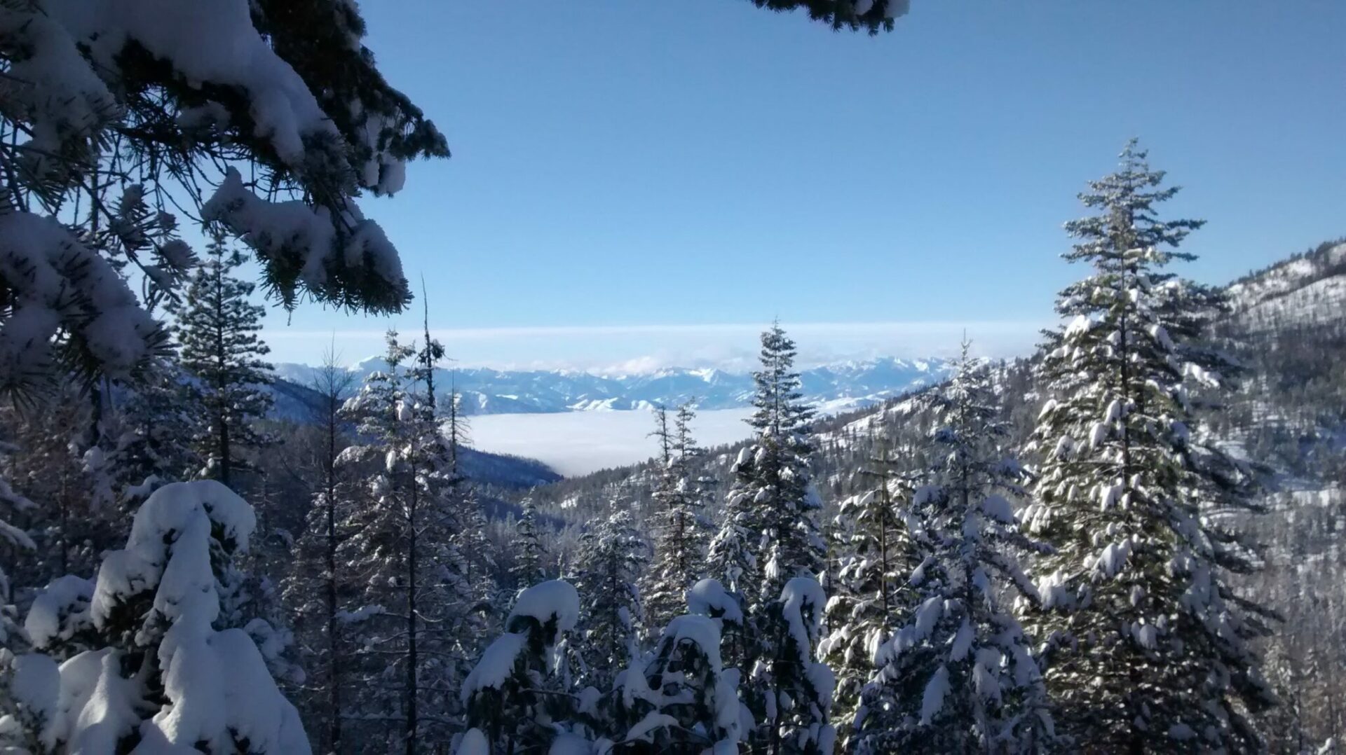 A snowy forest framing distant snowy mountains near Winthrop.