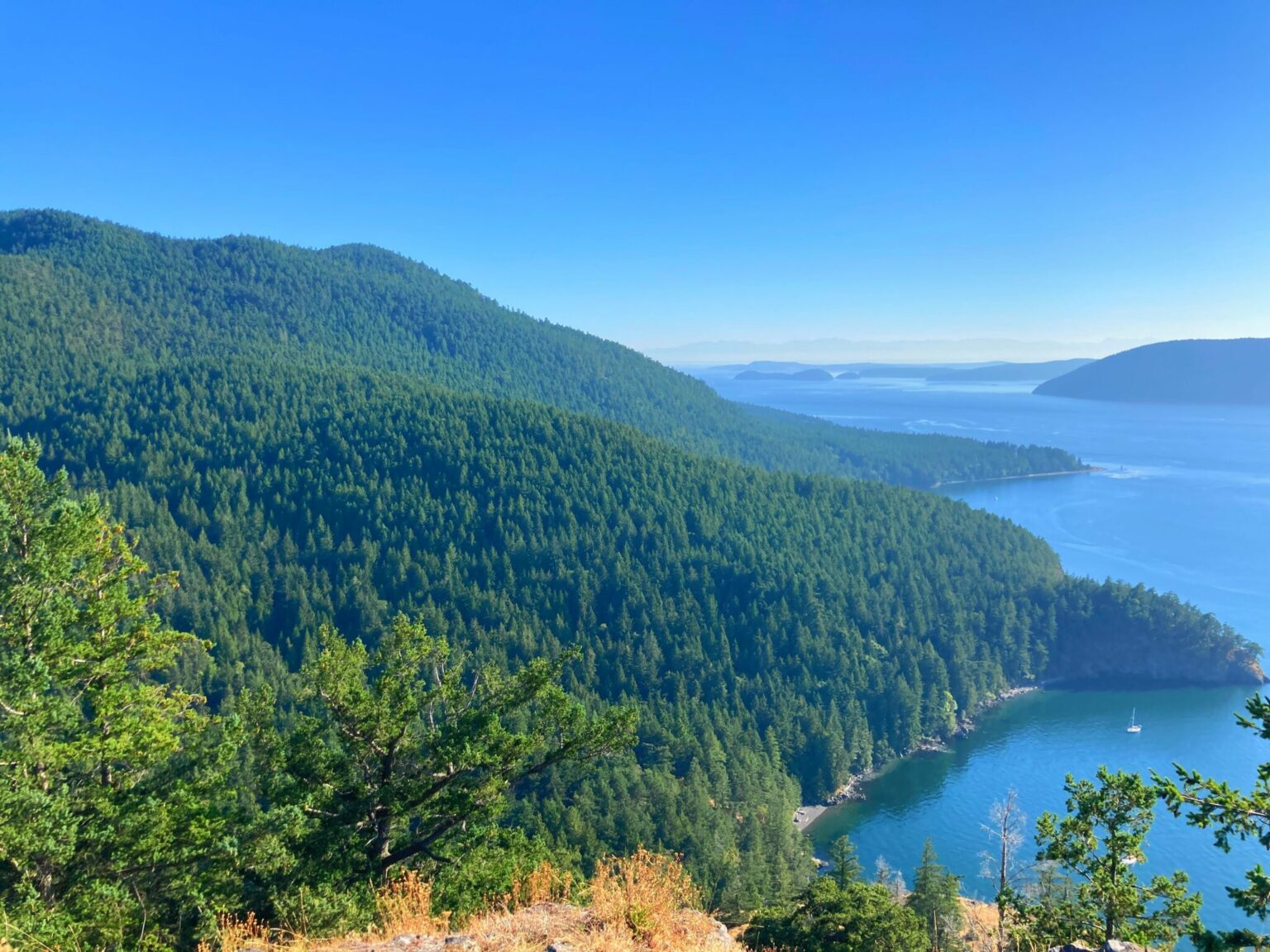 Complete Guide to Visiting Cypress Island in Washington Ordinary