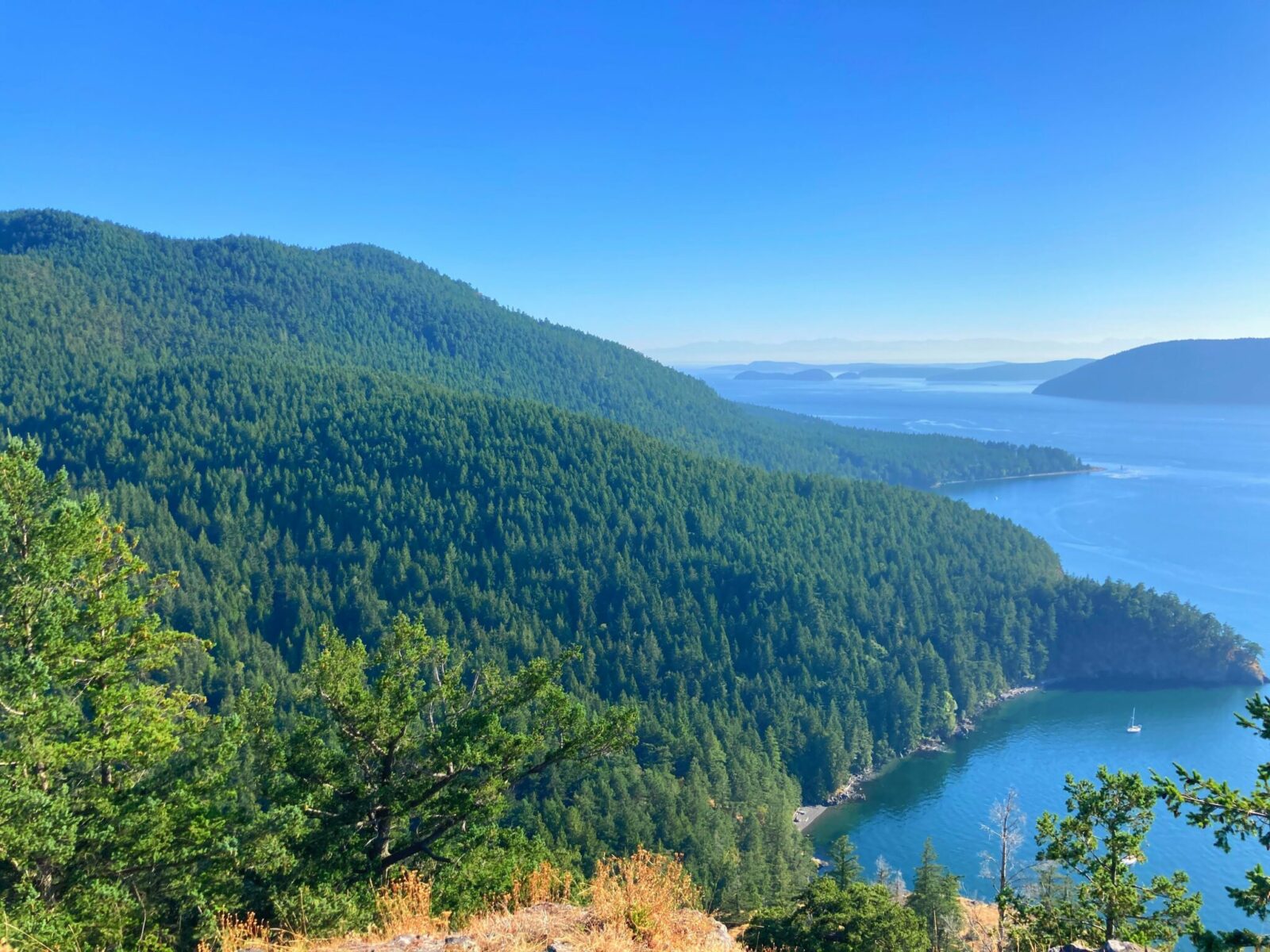 Cypress Island in the foreground from the top of Eagle Cliff. It's a forested island with many hills and valleys. There are other islands and waterways in the distance on a sunny summer day