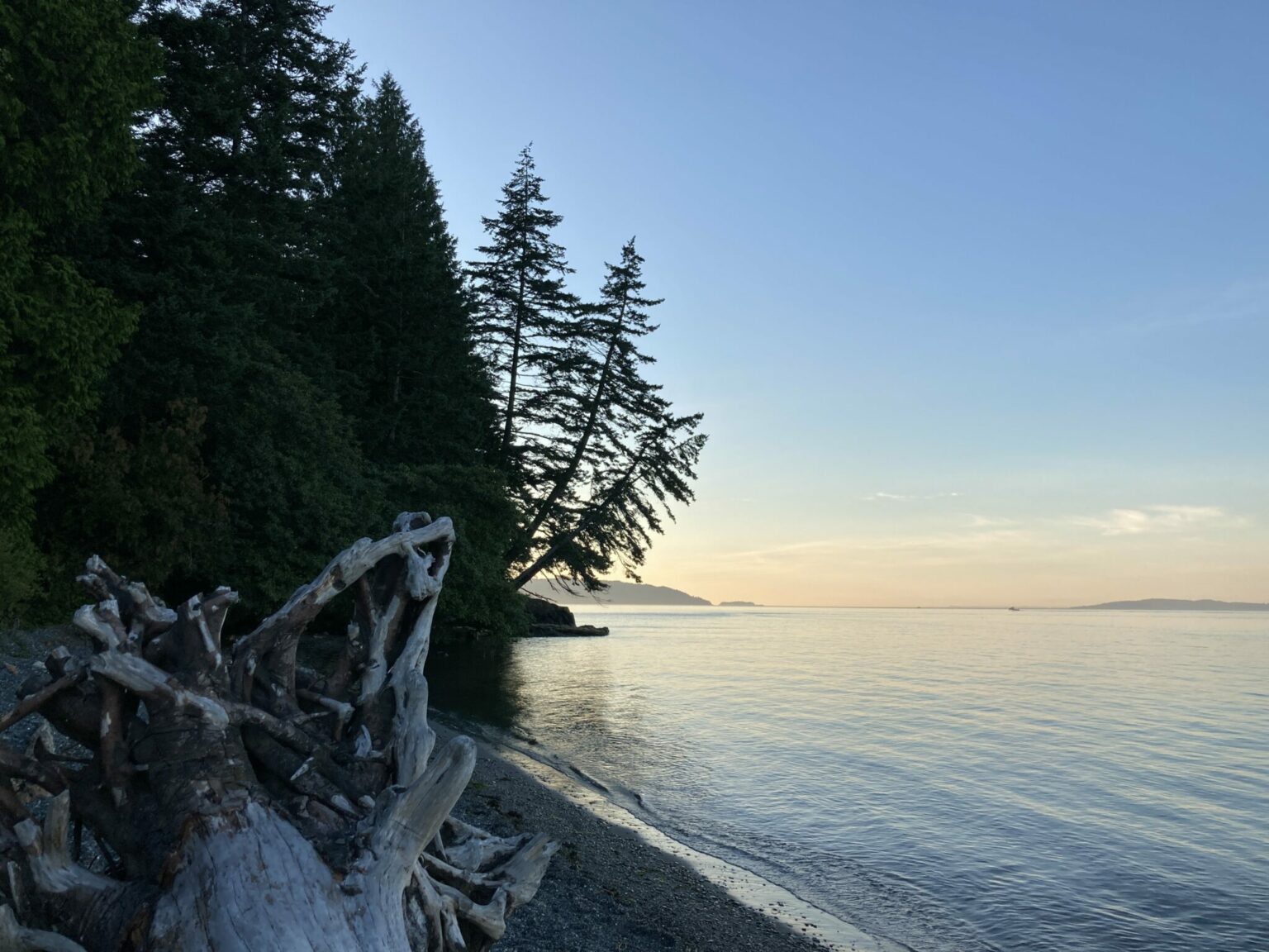 Complete Guide to Visiting Cypress Island in Washington Ordinary