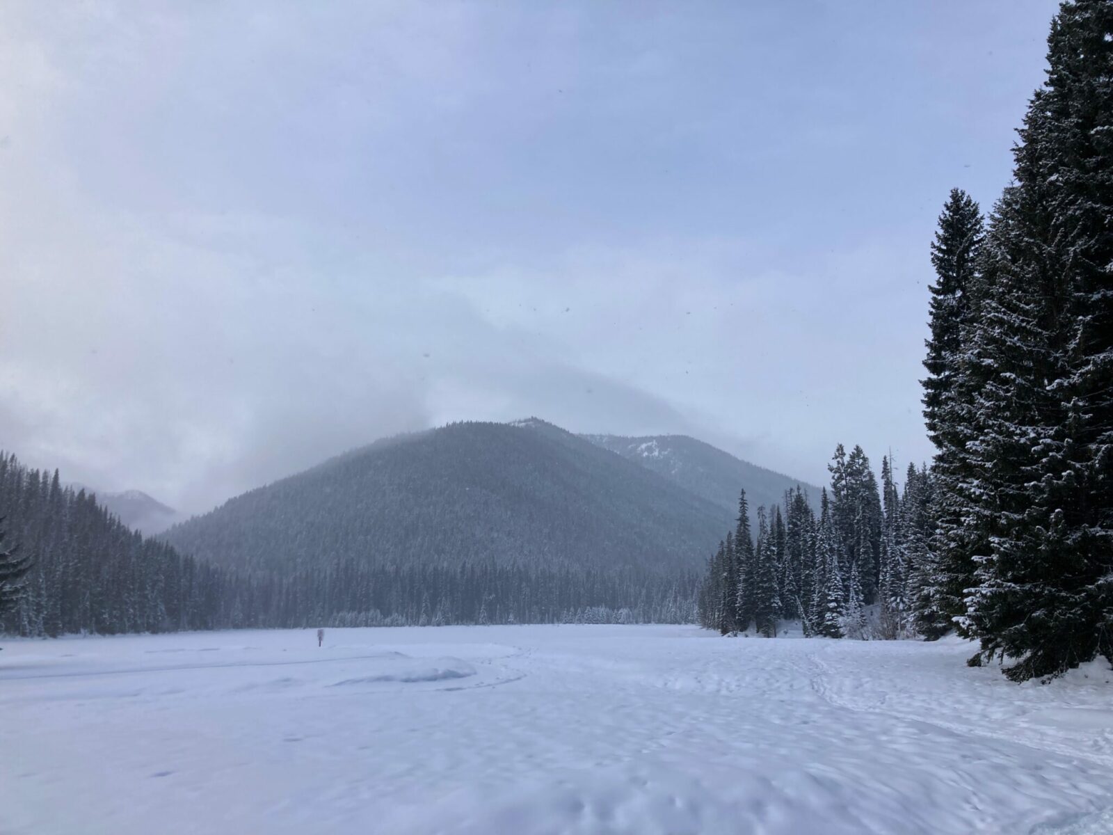 A frozen lake with snow on it surrounded by a snowy evergreen tree forest