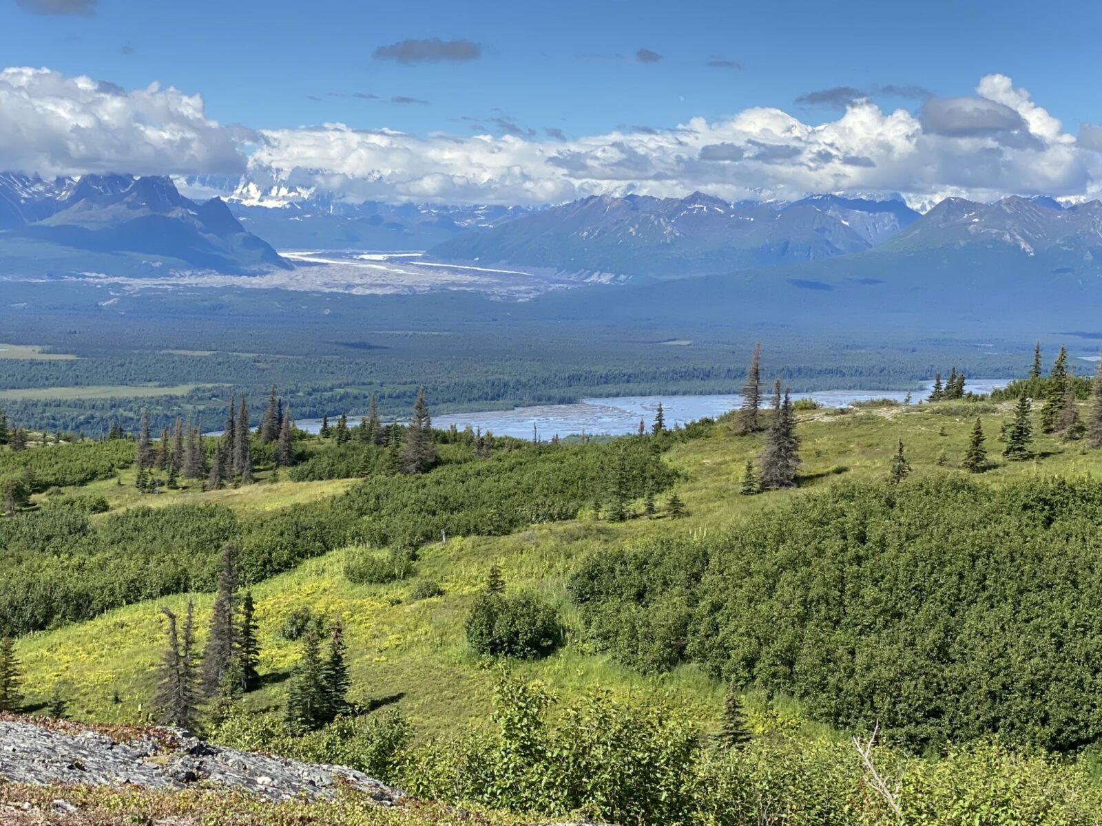 A view from a ridge with bushes and trees down to a river valley with high mountains and clouds in the distance