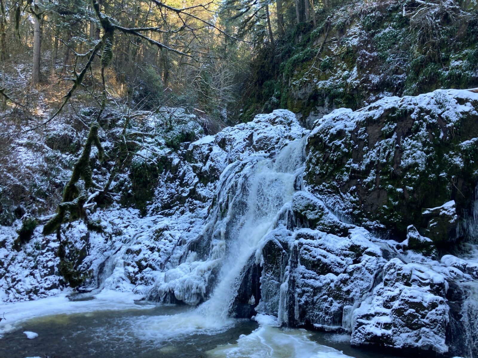 The Lower falls of the little mashel falls seen from the trail a bit above. The water is coming down over snowy rocks and there is a lot of ice under and around the falls. At the bottom of the falls is a pool of water with ice floating in it. Above the falls is a forest with lots of moss