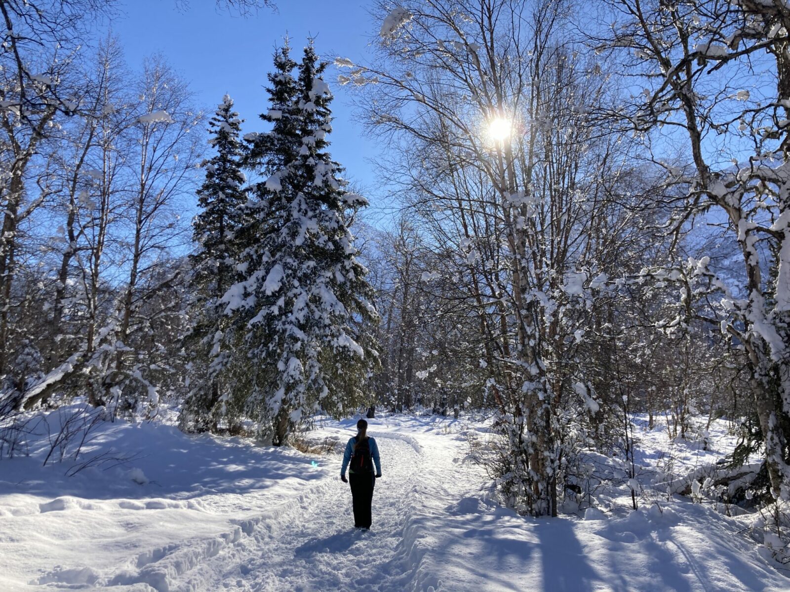 A person on a packed snowy trail through a snowy forest on a sunny winter day