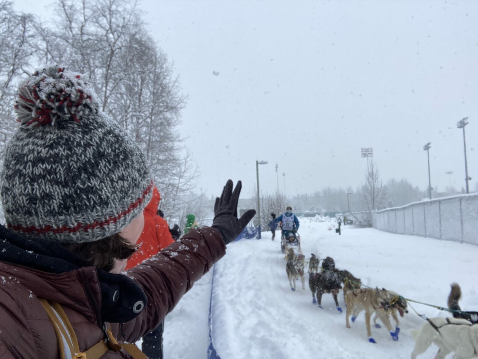 a person facing away from the camera and towards a sled dog racer wearing gloves, a wool hat and a winter coat on a snowy day. There is a dog team coming by