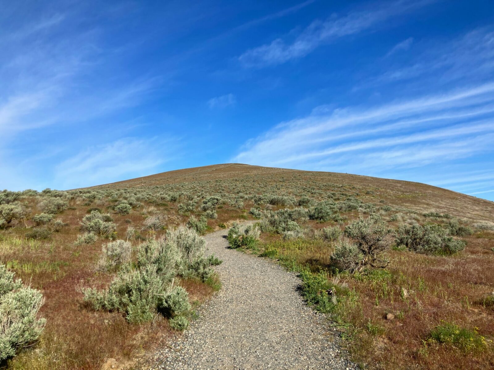 A trail through the sagebrush leading to the top of a hill on Candy Mountain near the Tri-Cities