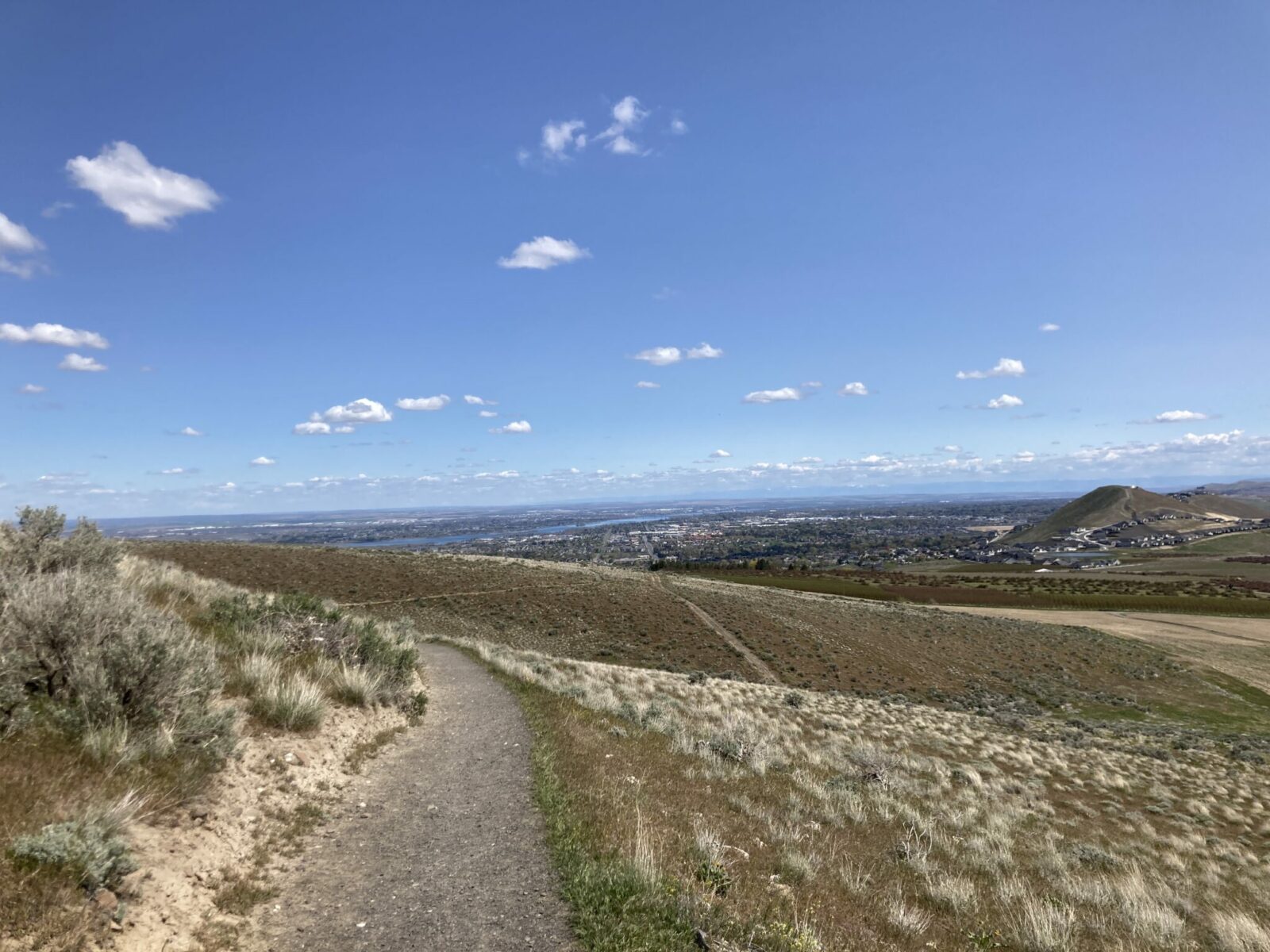 A hiking trail on the side of Badger Mountain overlooking Tri-Cities Washington and the Columbia River