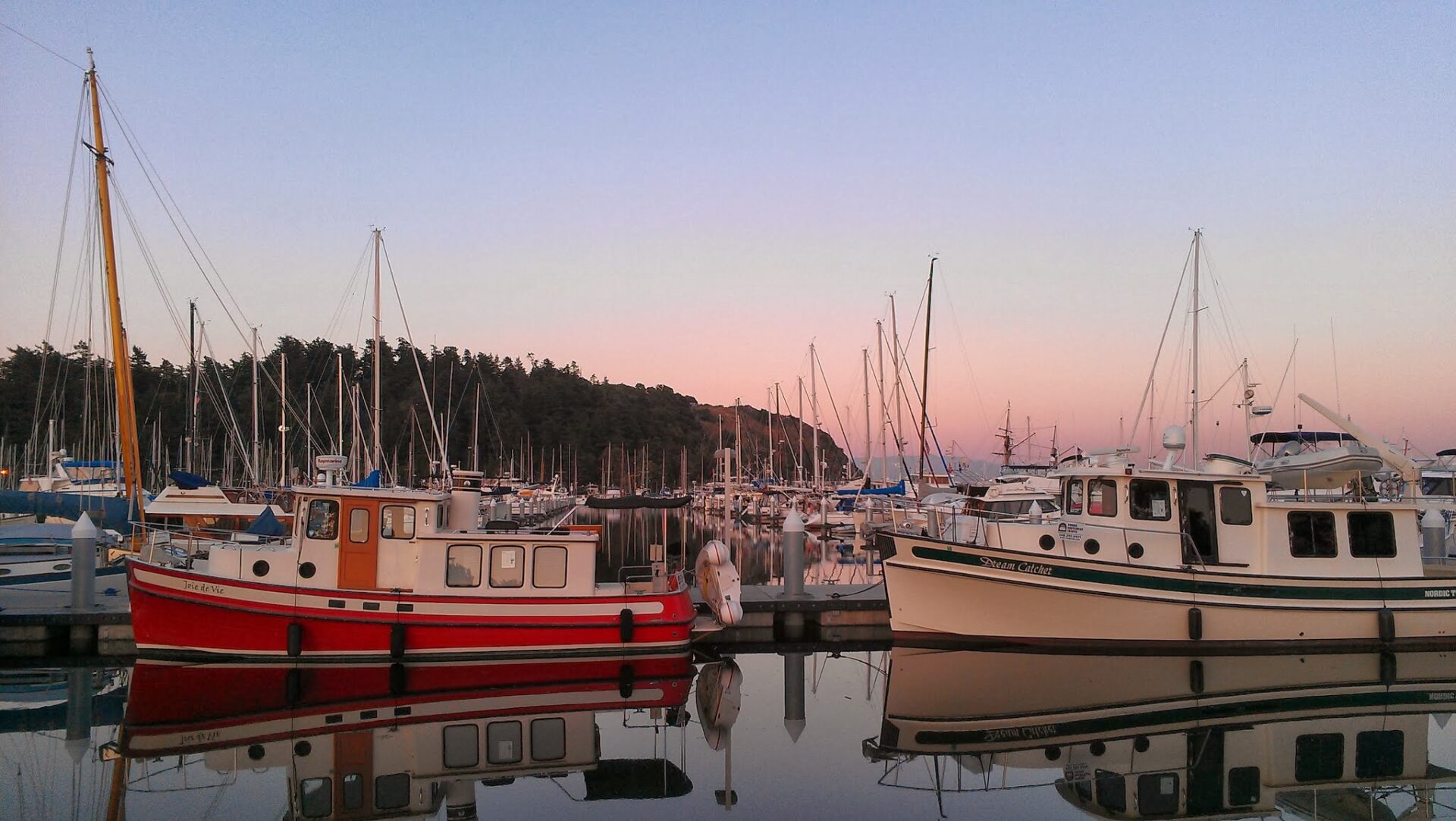 Many sailboats and power boats in a marina at sunset with a forested hillside in the background