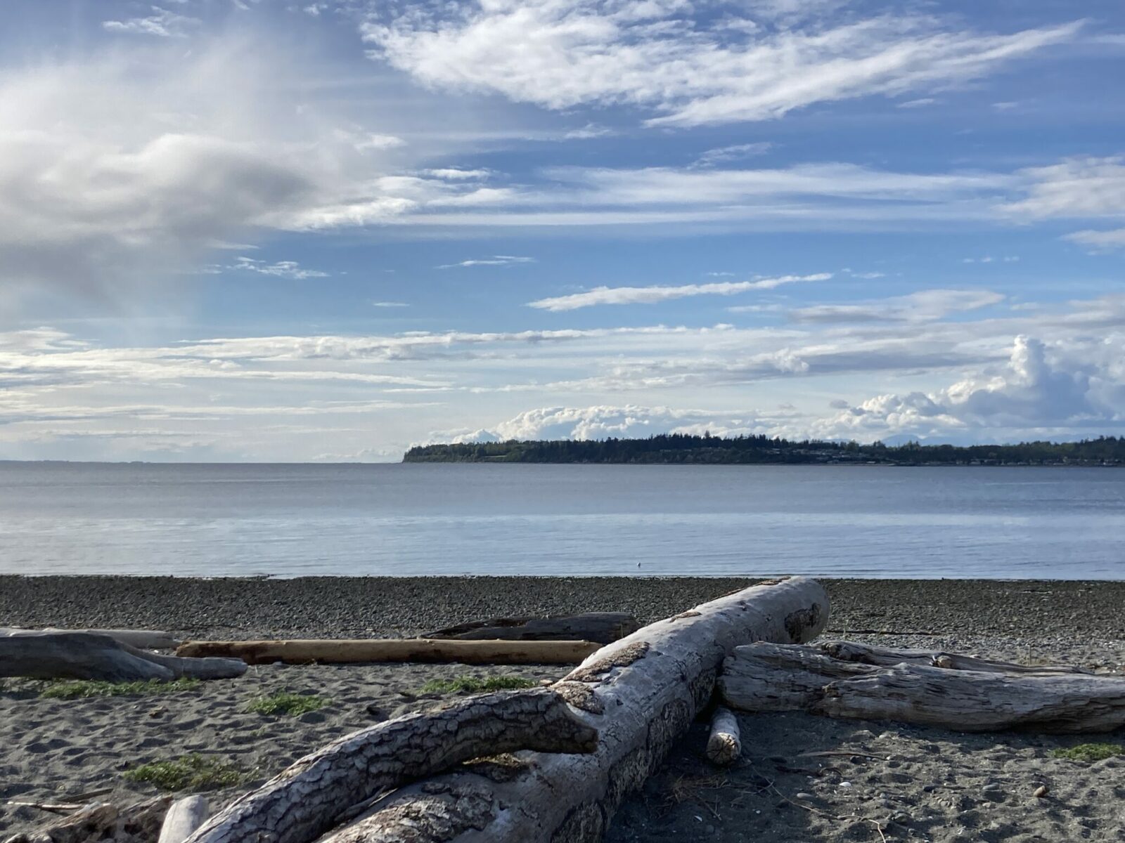 A rocky and driftwood covered beach with more forested land across the bay on a partly sunny day