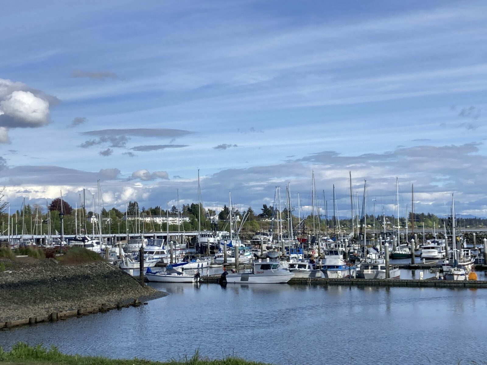 A harbor full of small power boats and sailboats