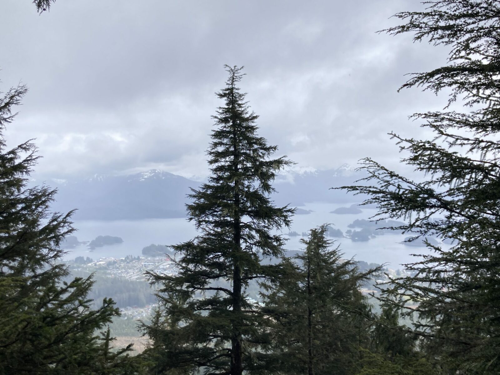 The town of Sitka, Alaska seen from an overlook on a hiking trail above. It's a rainy day but you can still see some mountains and islands in the distance. Evergreen trees are in the foreground.