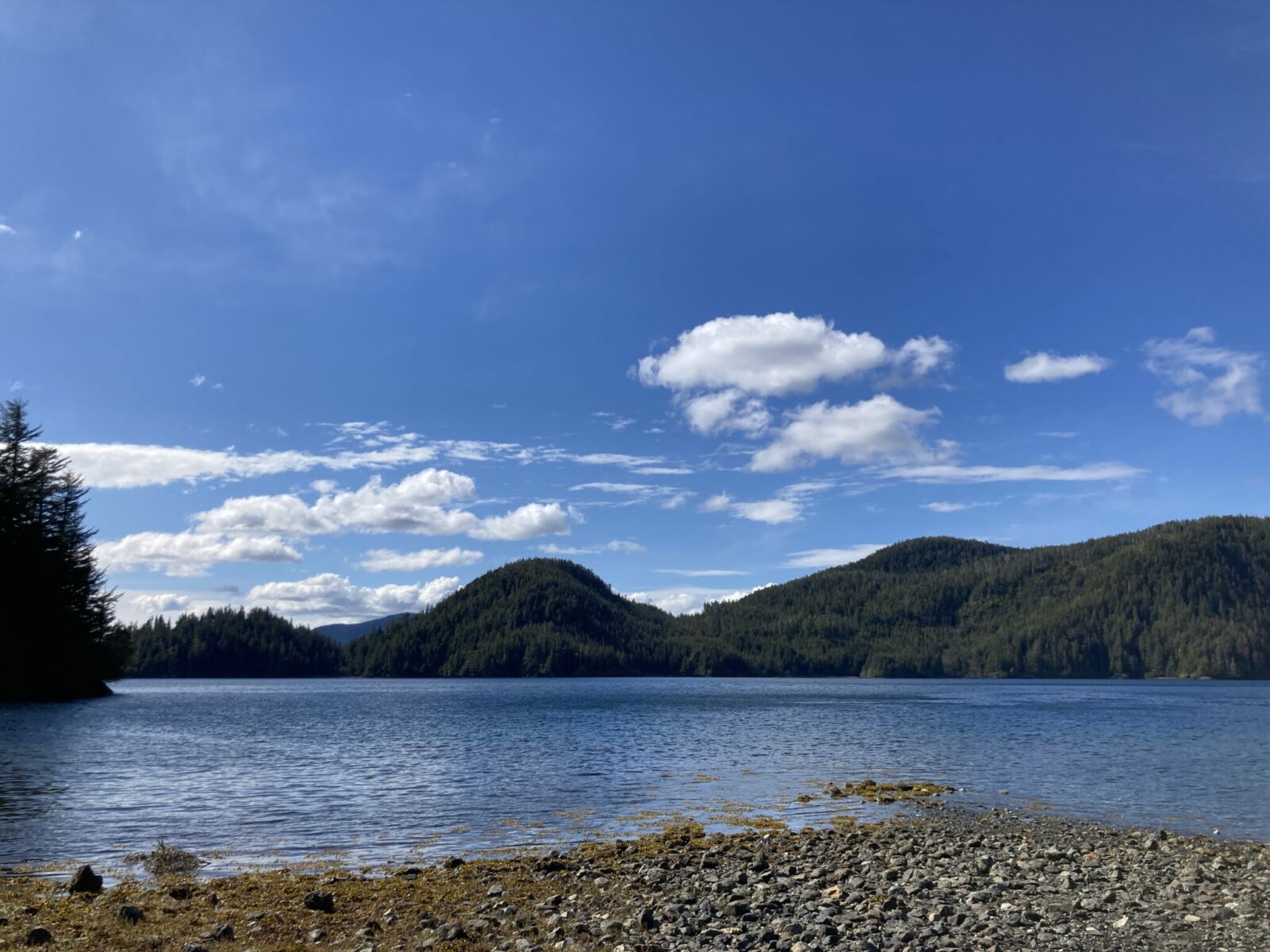 A calm cove with a rocky beach in the foreground and forested hills in the background on a sunny day.