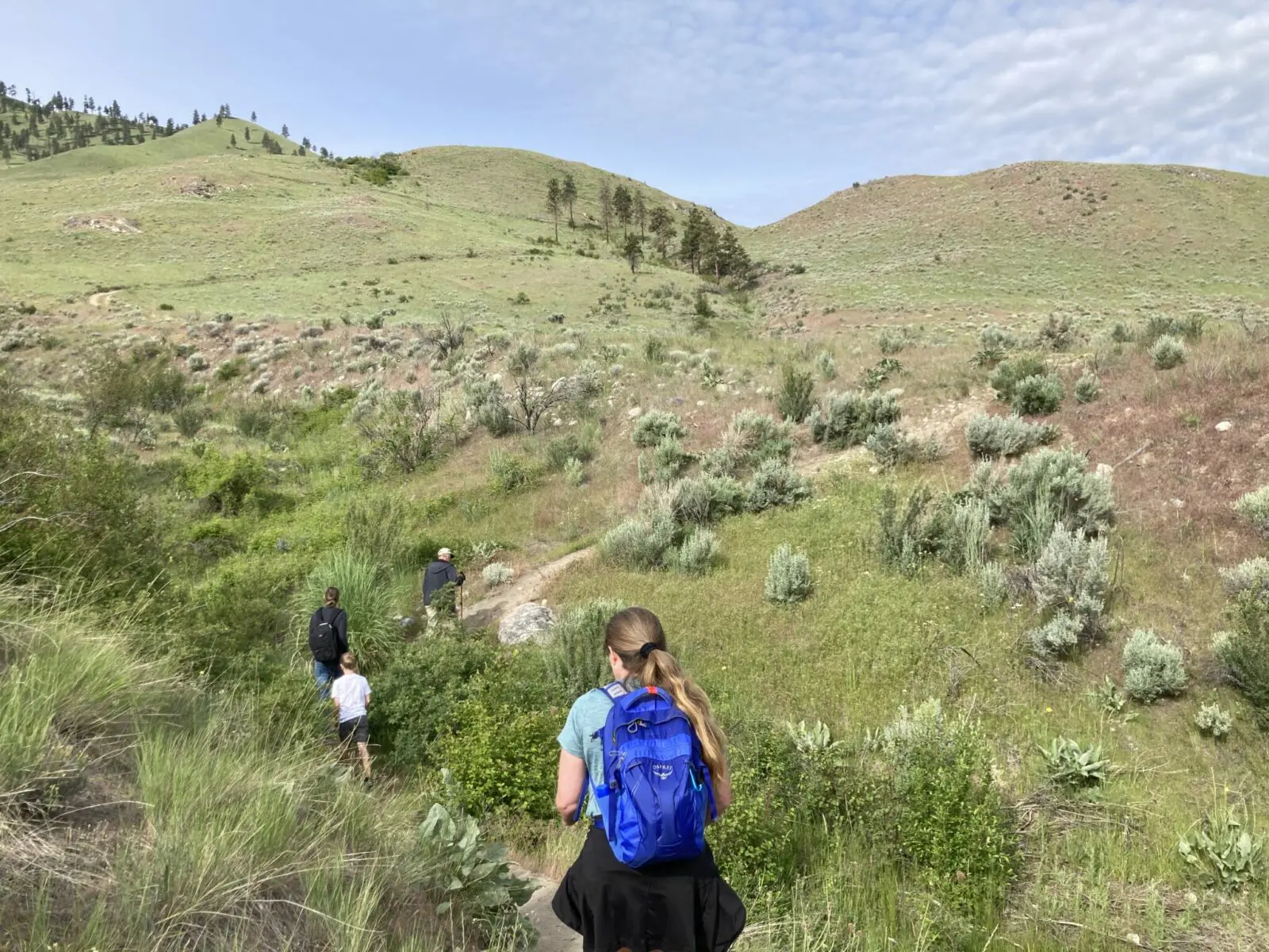 Four hikers walking single file up a dirt trail on a sagebrush covered hill with a few trees in the distance