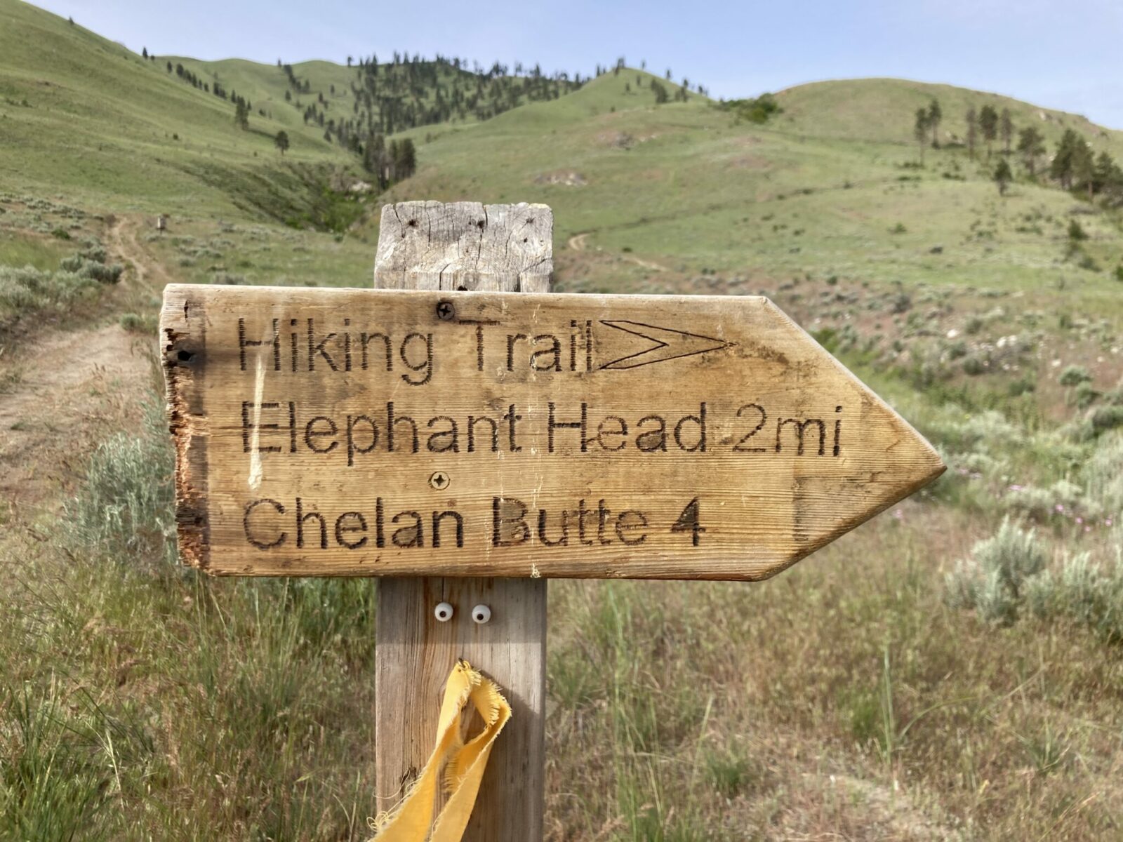 A brown trail sign that reads "hiking trail" with an arrow to the right. Below the arrow it says elephant head 2 miles, Chelan Butte 4