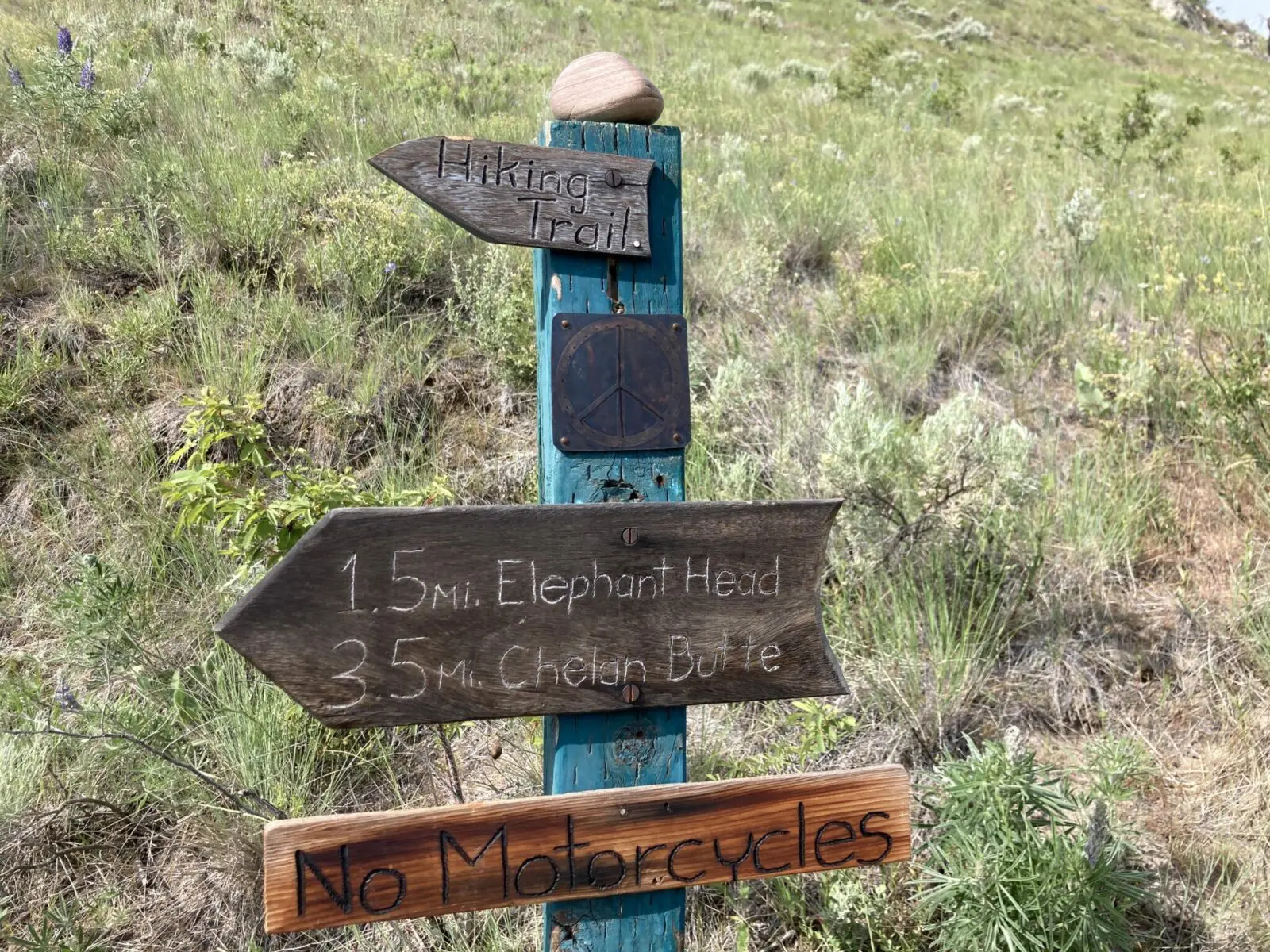 a wooden trail sign that says hiking trail. Below that is another sign that says 1.5 miles Elephant Head, 3.5 miles Chelan Butte. A third sign below the first two says no motorcycles