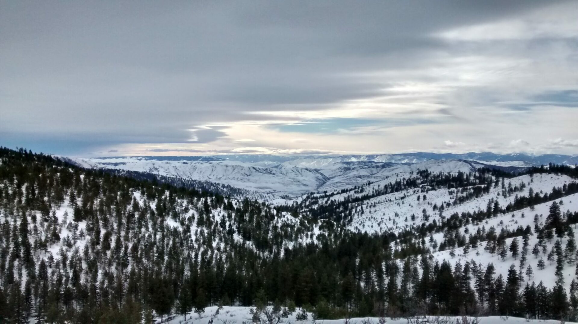 Snowy forested hills seen from high above. There are distance mountains and clouds.