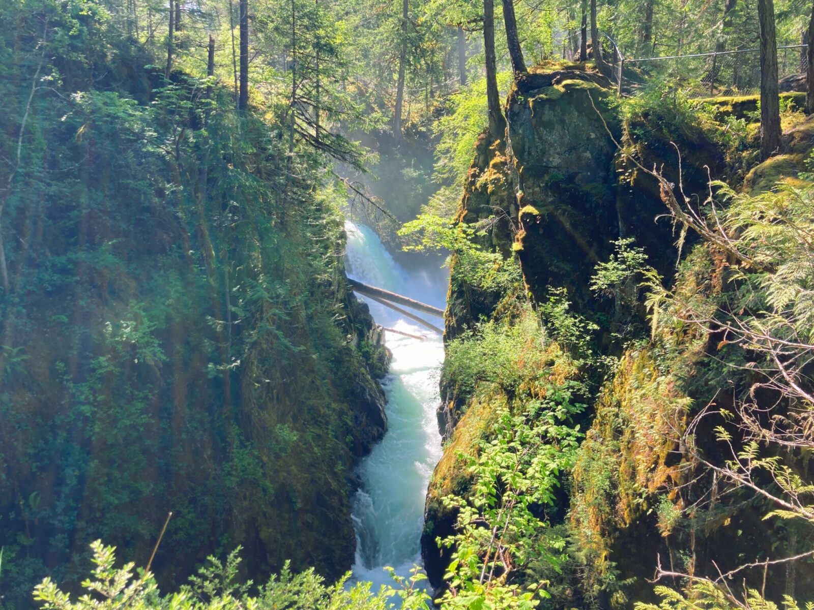 A waterfall crashing between rock walls covered in moss and ferns in a forest at Little Qualicum Falls between Nanaimo and Tofino on a Vancouver Island road trip