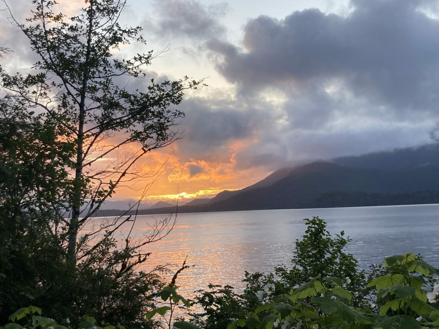 Nanaimo to Tofino 13 essential road trip stops Ordinary Adventures