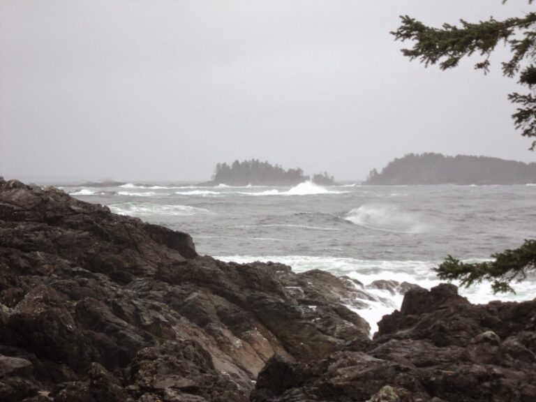18+ Best things to do in Ucluelet and Tofino Ordinary Adventures