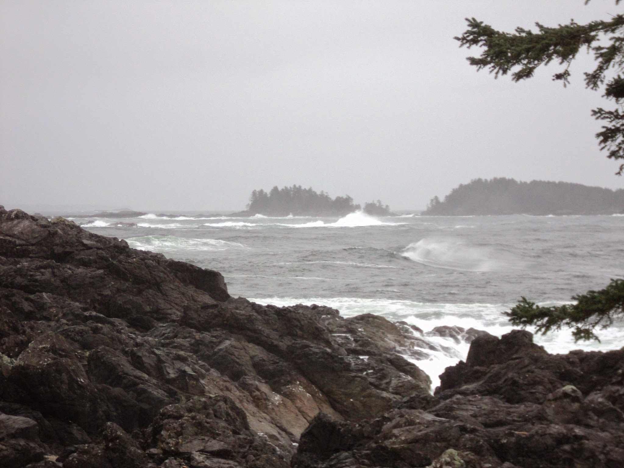 18+ Best things to do in Ucluelet and Tofino Ordinary Adventures
