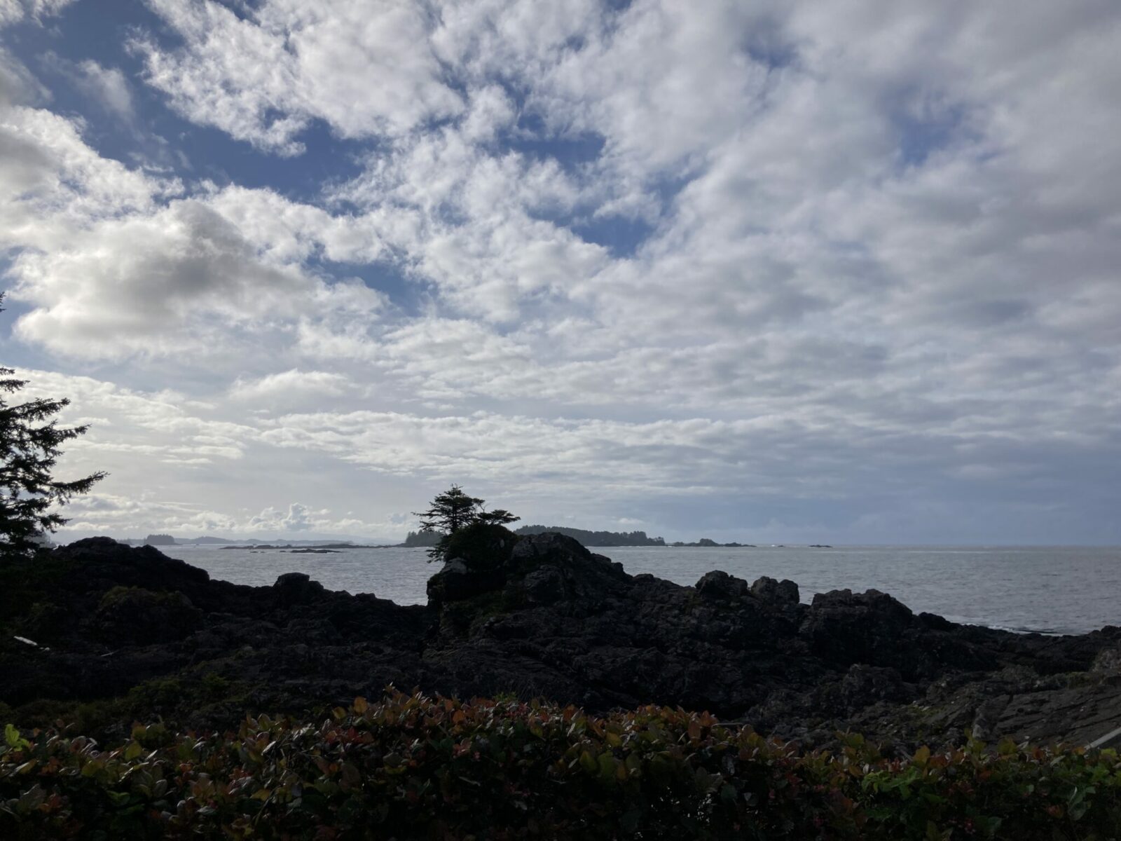 The rocky shore near Ucluelet, BC with a few trees and many distant islands on a partly cloudy day