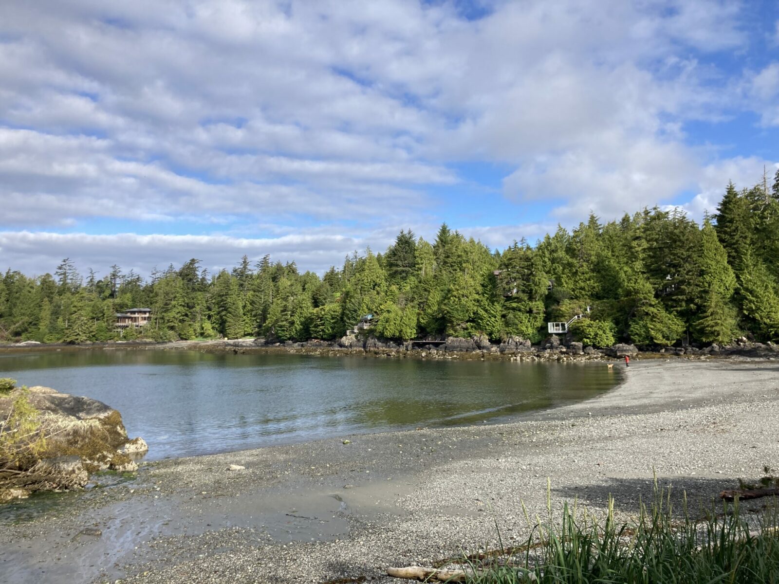 A small gravel beach in a cove surrounded by a few homes and forest in Ucluelet BC.