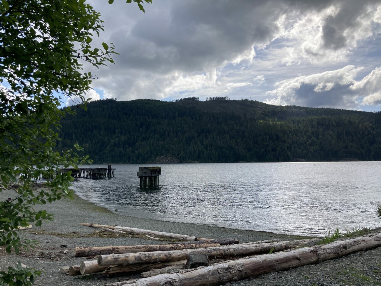 A gravel beach with a few trees, driftwood and pilings surrounded by forested hills along Alberni Inlet.