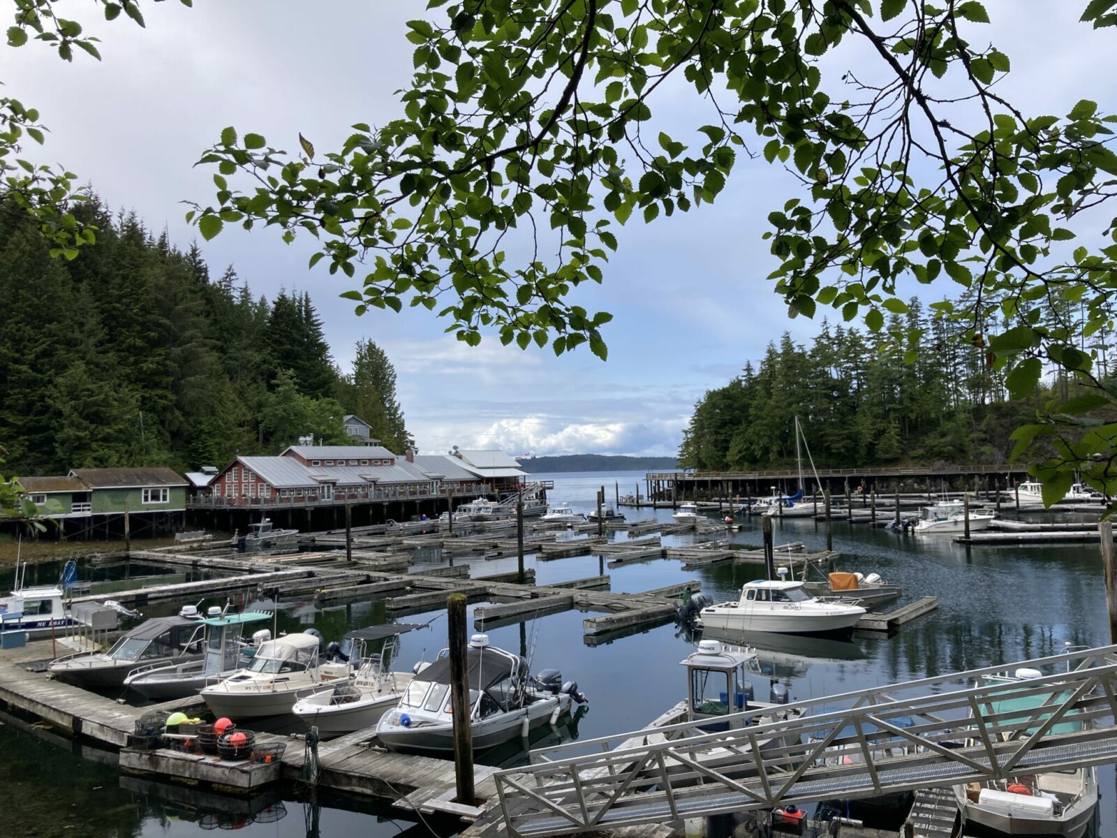 Telegraph Cove featuring a marina with a few boats in it, surrounded by historic buildings on stilts above the water and surrounded by forested hillsides with the ocean in the distance