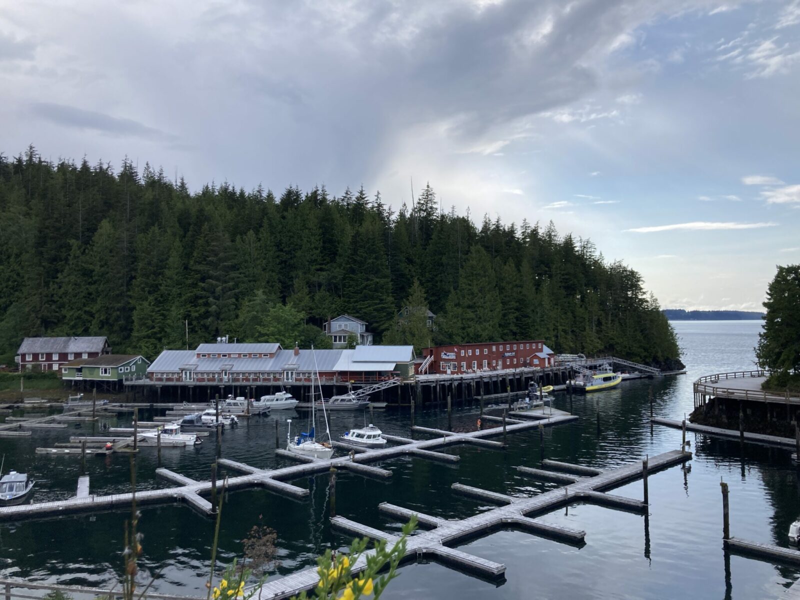 Telegraph Cove, a marina that is mostly empty and surrounded by historic buildings. There are forests leading up to the small entrance to the cove and ocean and more forested hillsides in the distance