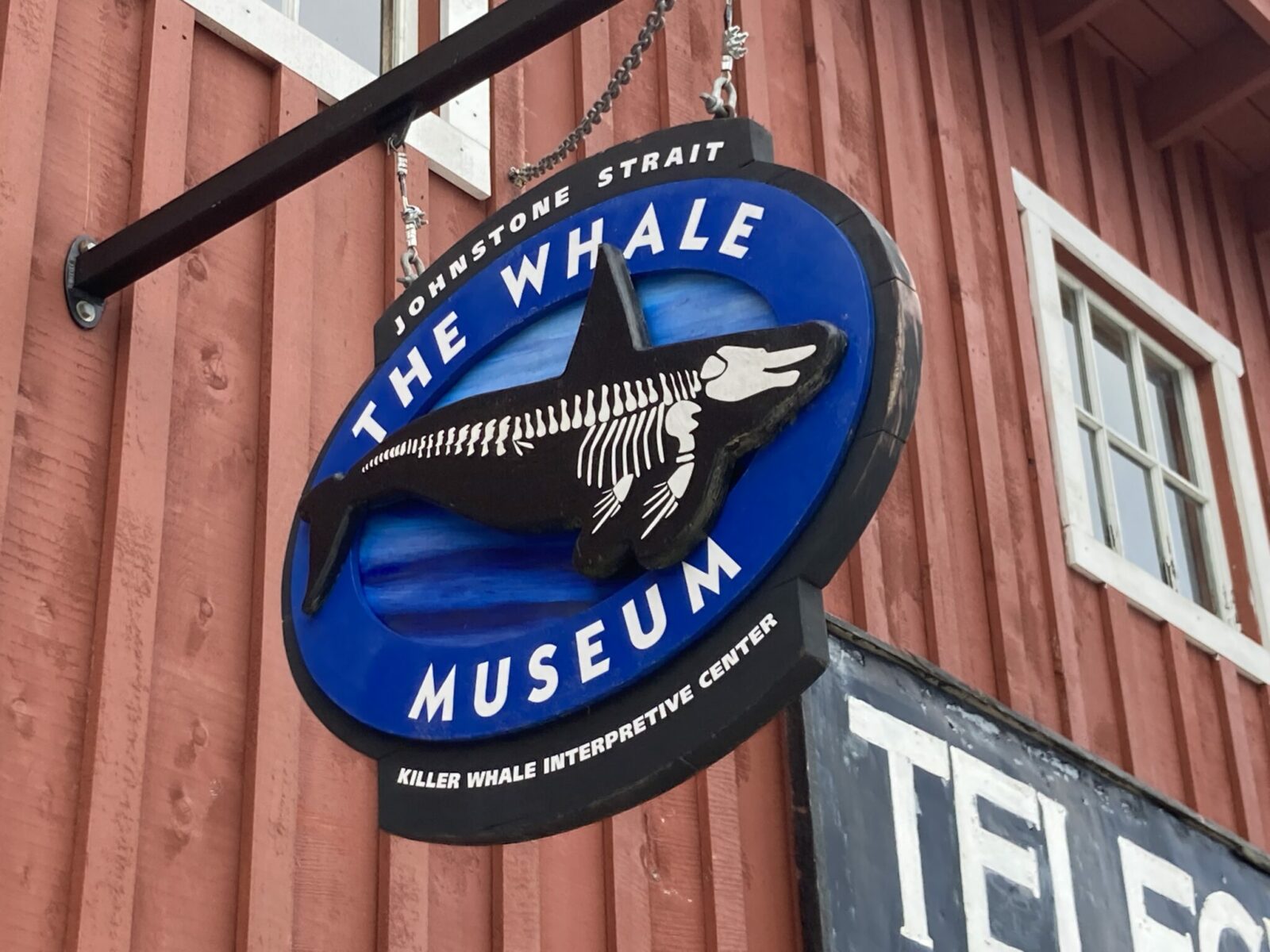 A hanging sign saying The Whale Museum with a whale skeleton on it