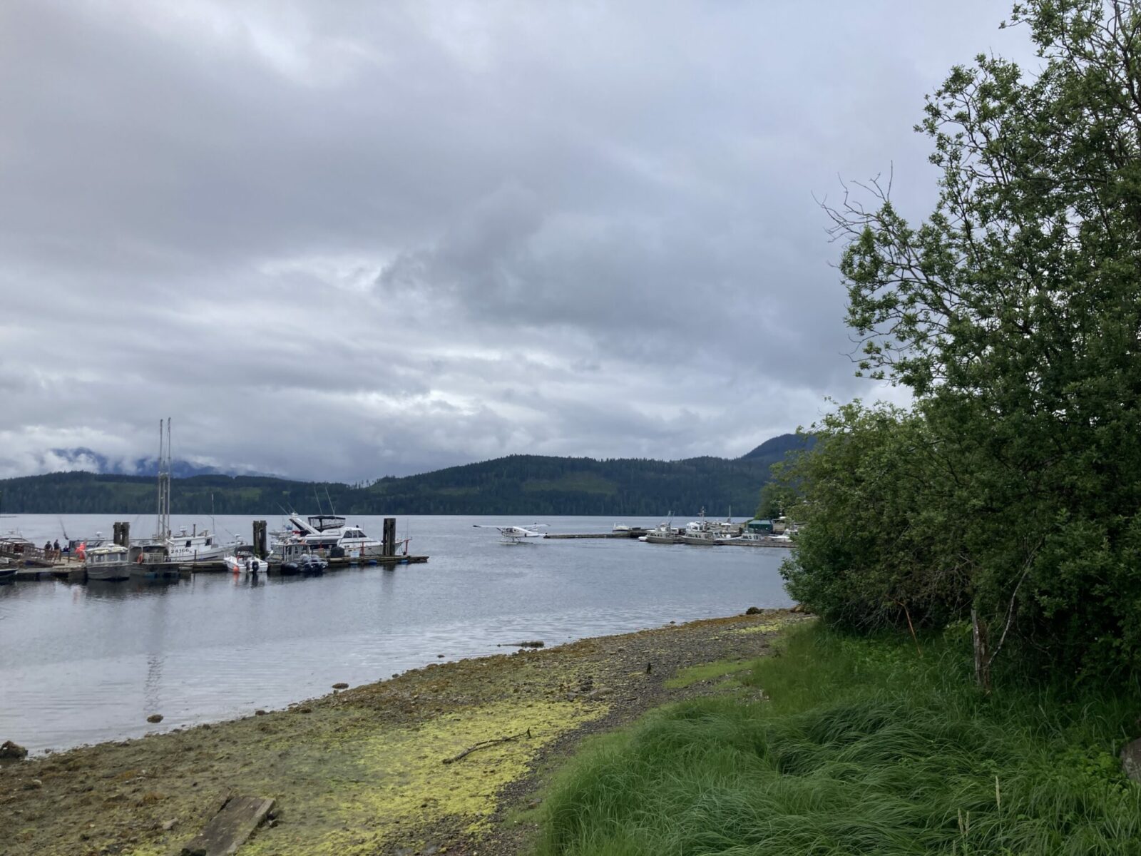 A rocky beach at low tide next to a marina. Just outside the marina a float plane is taking off. it's an overcast day but some forested hills in the distance are visible.