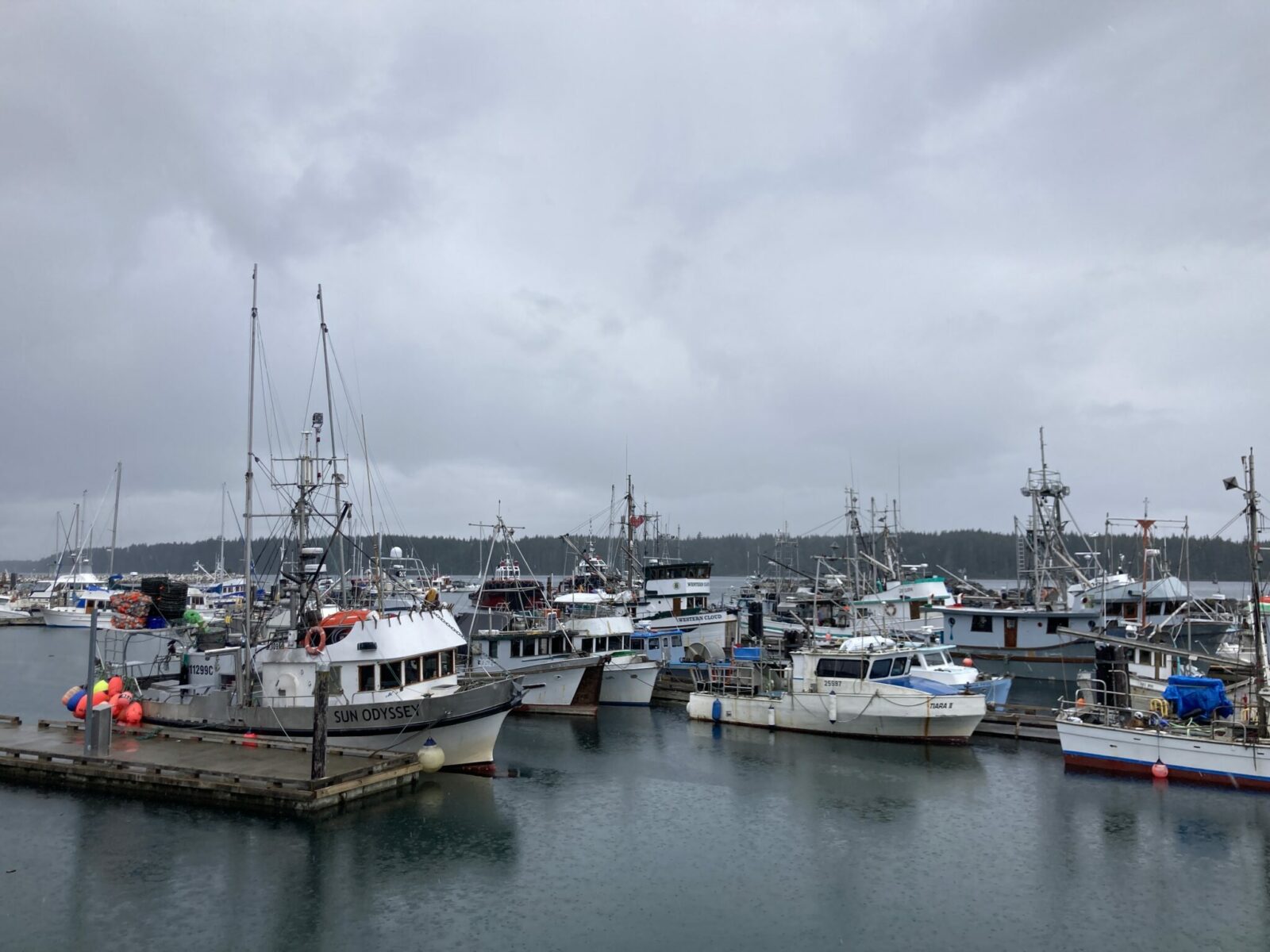 Lots of fishing boats in a marina on an overcast day